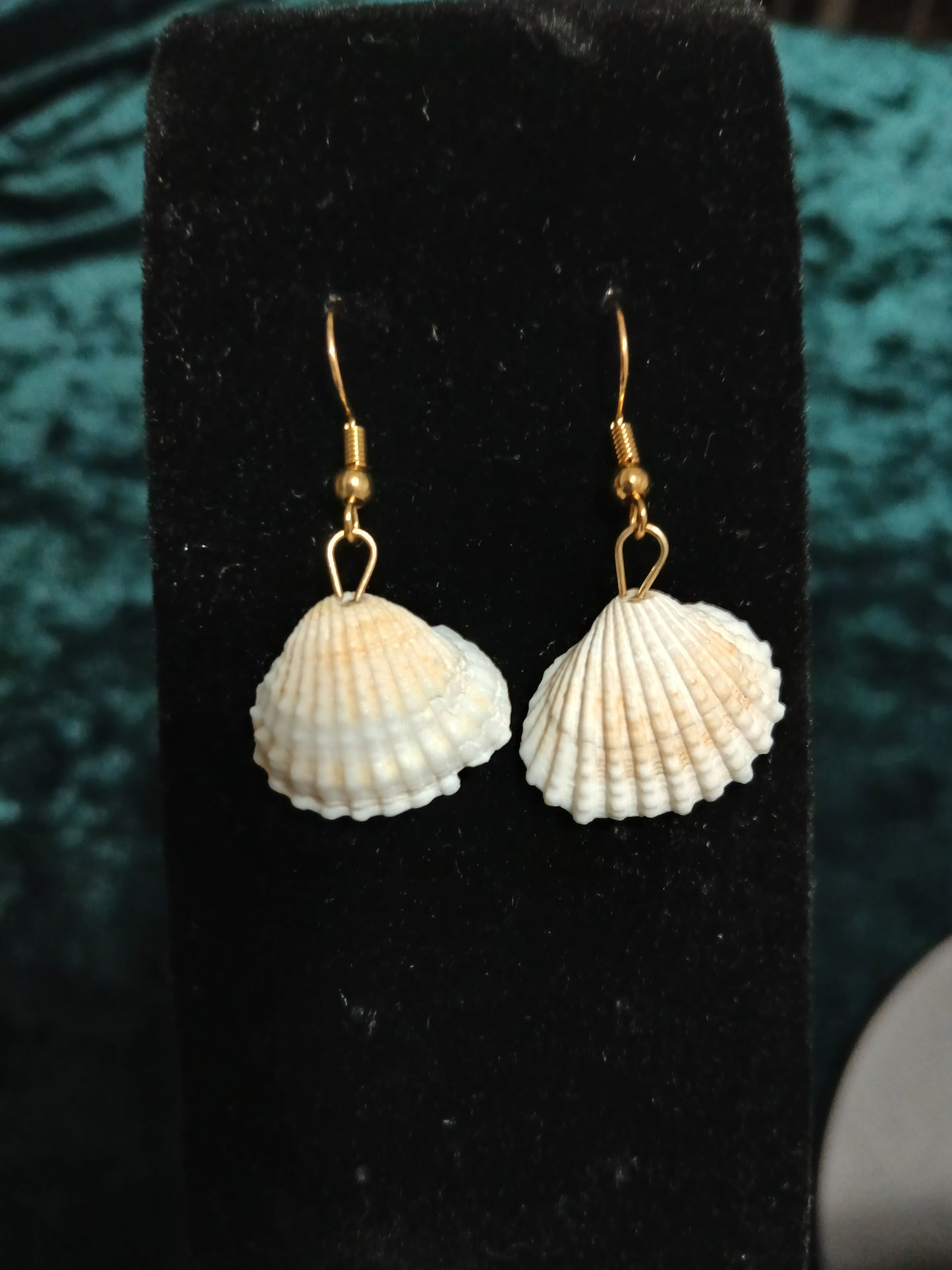 Shell-shaped earrings on a black velvet stand with a blurred green background