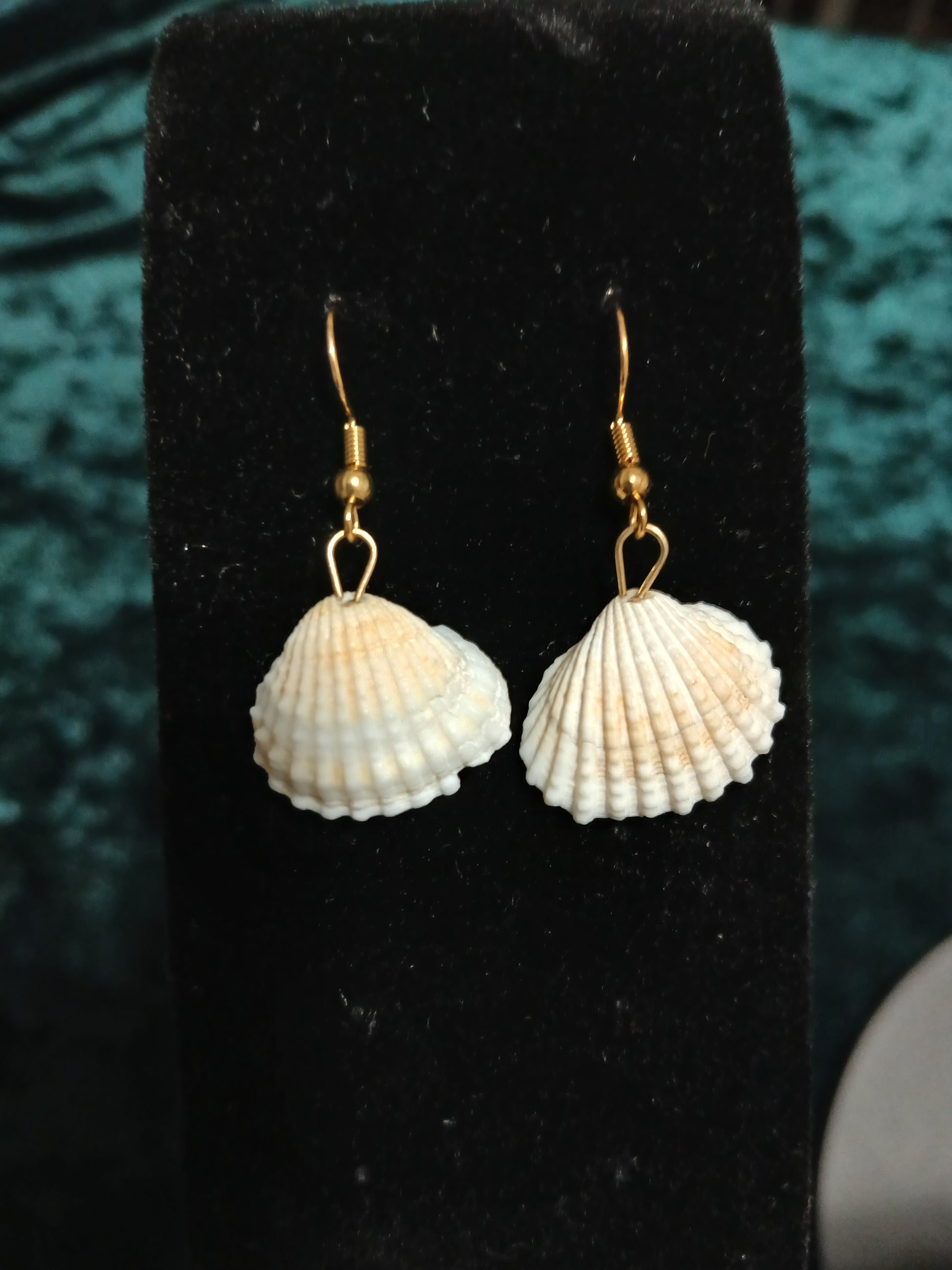 Shell-shaped earrings on a black velvet stand with a blurred green background