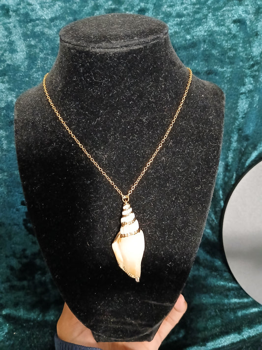 Born of the Water and the Spirit - Shell Baptism Necklace